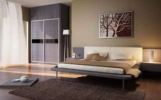 选择德尔曼整体衣柜，打造厦门家居生活新高度